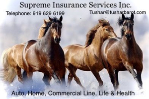 Supreme Insurance Services Inc.